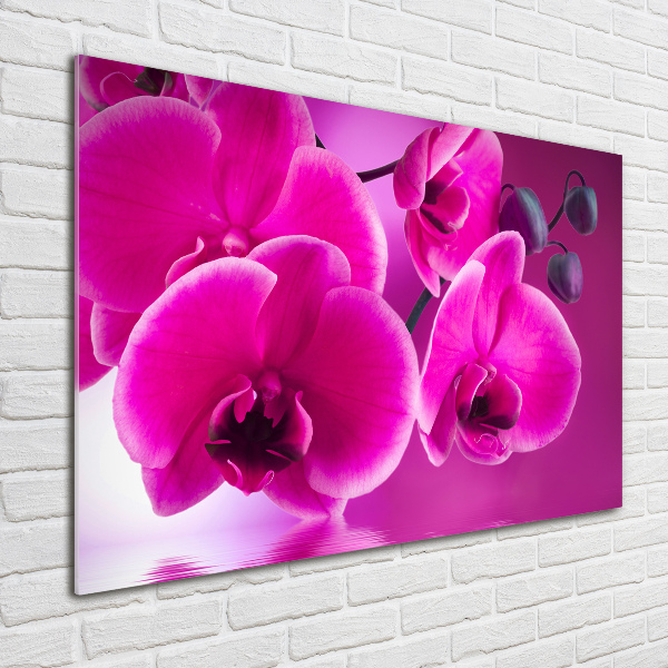 Glass picture print Orchid