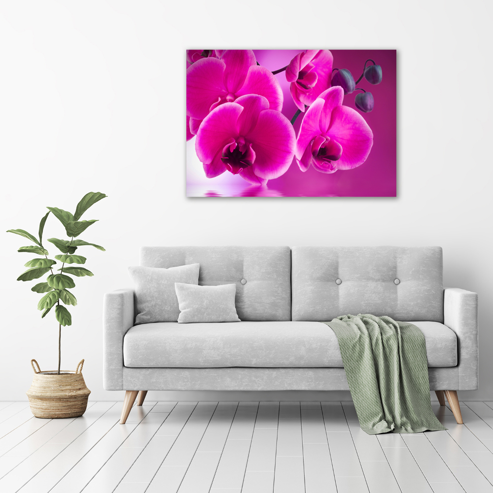 Glass picture print Orchid