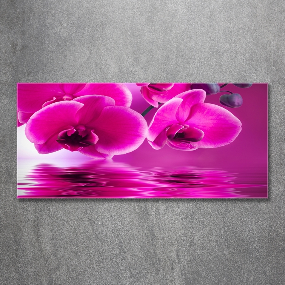 Glass picture print Orchid