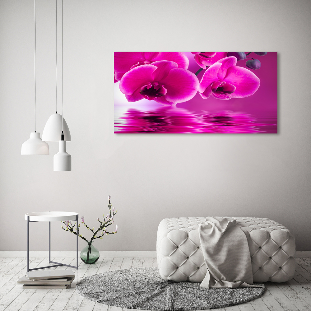 Glass picture print Orchid