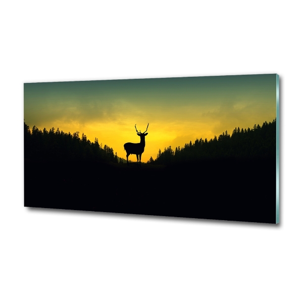 Photo printed on glass Deer