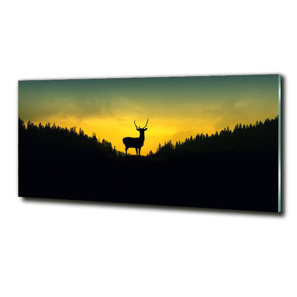 Photo printed on glass Deer