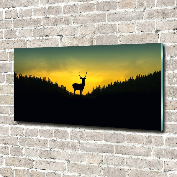 Photo printed on glass Deer