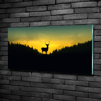 Photo printed on glass Deer