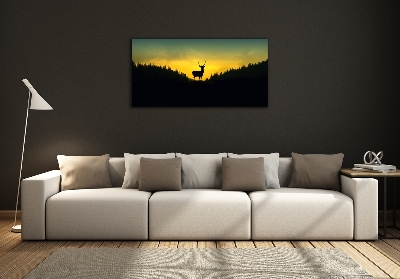 Photo printed on glass Deer