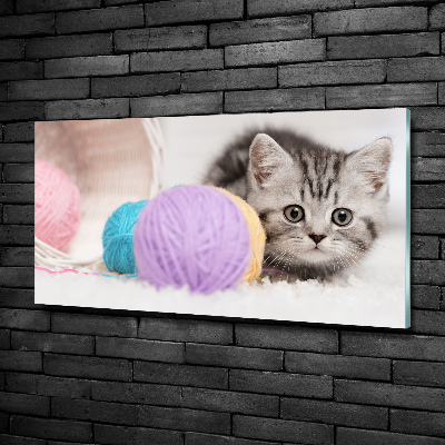 Glass picture wall art Cat with skeins