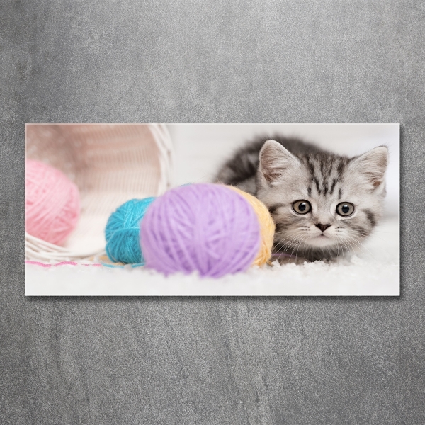 Glass picture wall art Cat with skeins