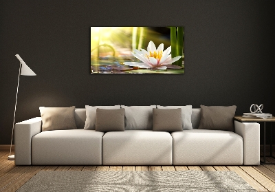 Glass picture print Water lily