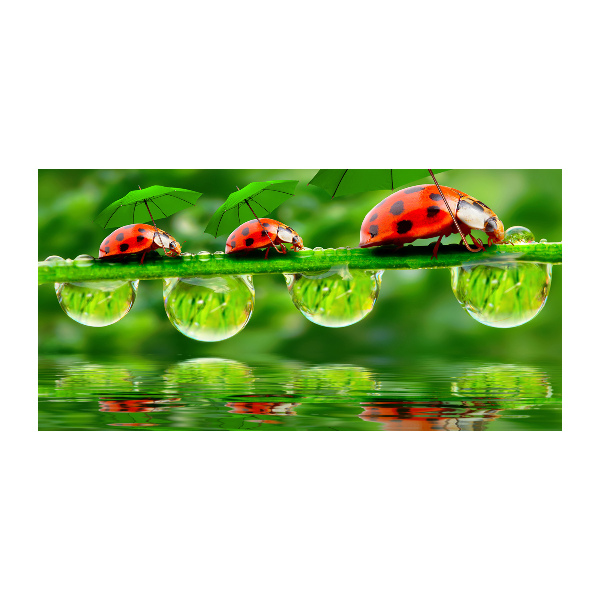 Printed glass wall art Ladybugs