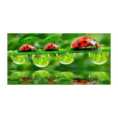 Printed glass wall art Ladybugs