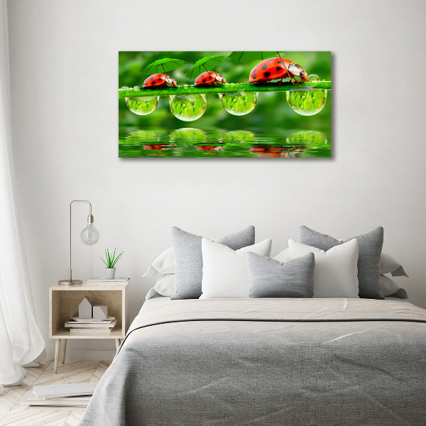 Printed glass wall art Ladybugs