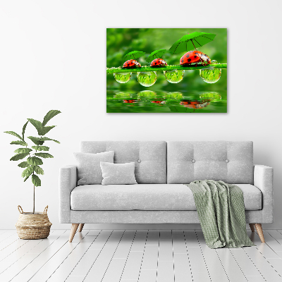 Printed glass wall art Ladybugs