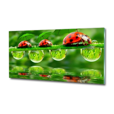 Printed glass wall art Ladybugs