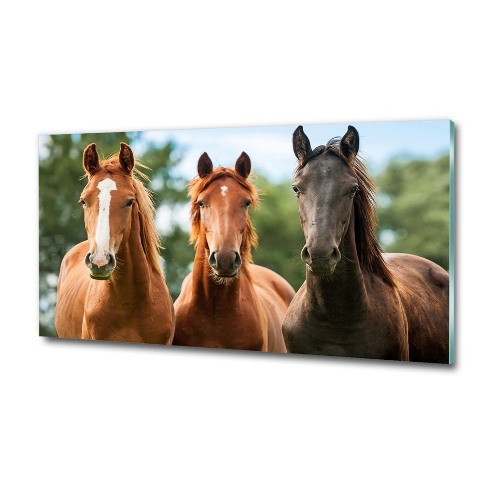 Glass picture wall art Three horses