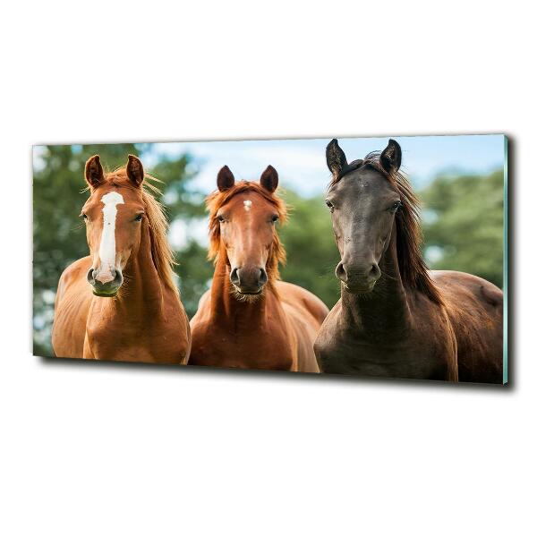 Glass picture wall art Three horses