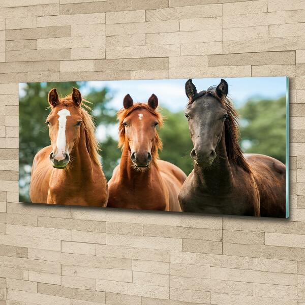 Glass picture wall art Three horses