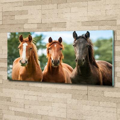 Glass picture wall art Three horses