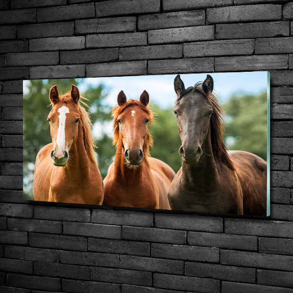 Glass picture wall art Three horses