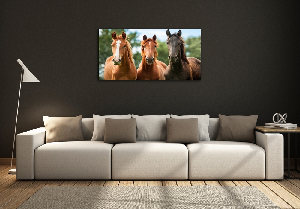 Glass picture wall art Three horses