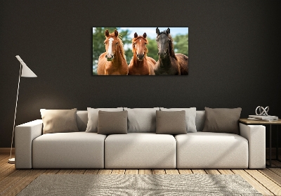 Glass picture wall art Three horses