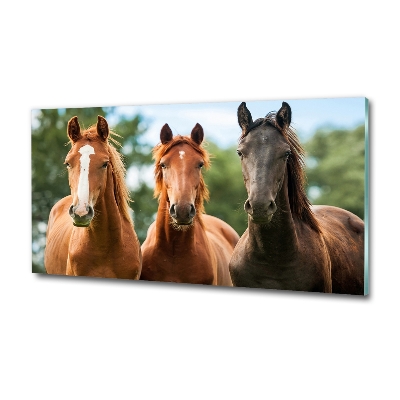 Glass picture wall art Three horses