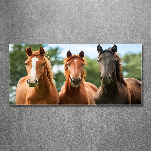 Glass picture wall art Three horses