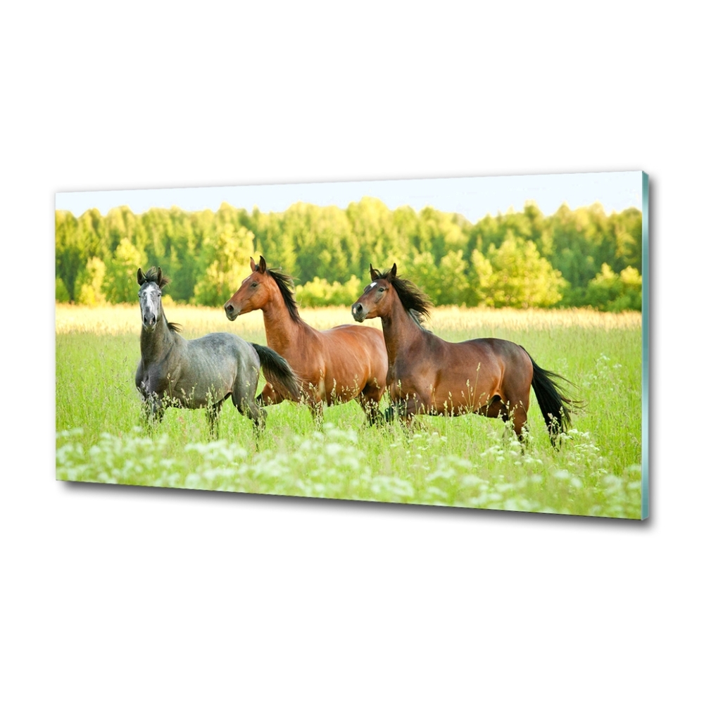 Glass picture wall art Horses at gallop