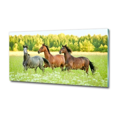 Glass picture wall art Horses at gallop