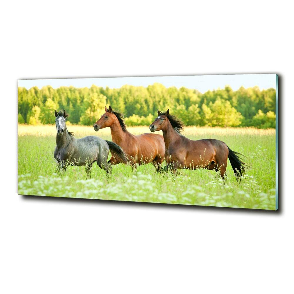 Glass picture wall art Horses at gallop