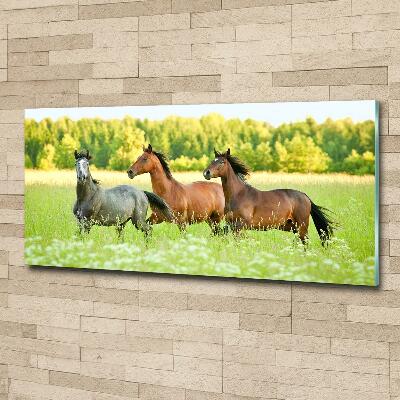 Glass picture wall art Horses at gallop