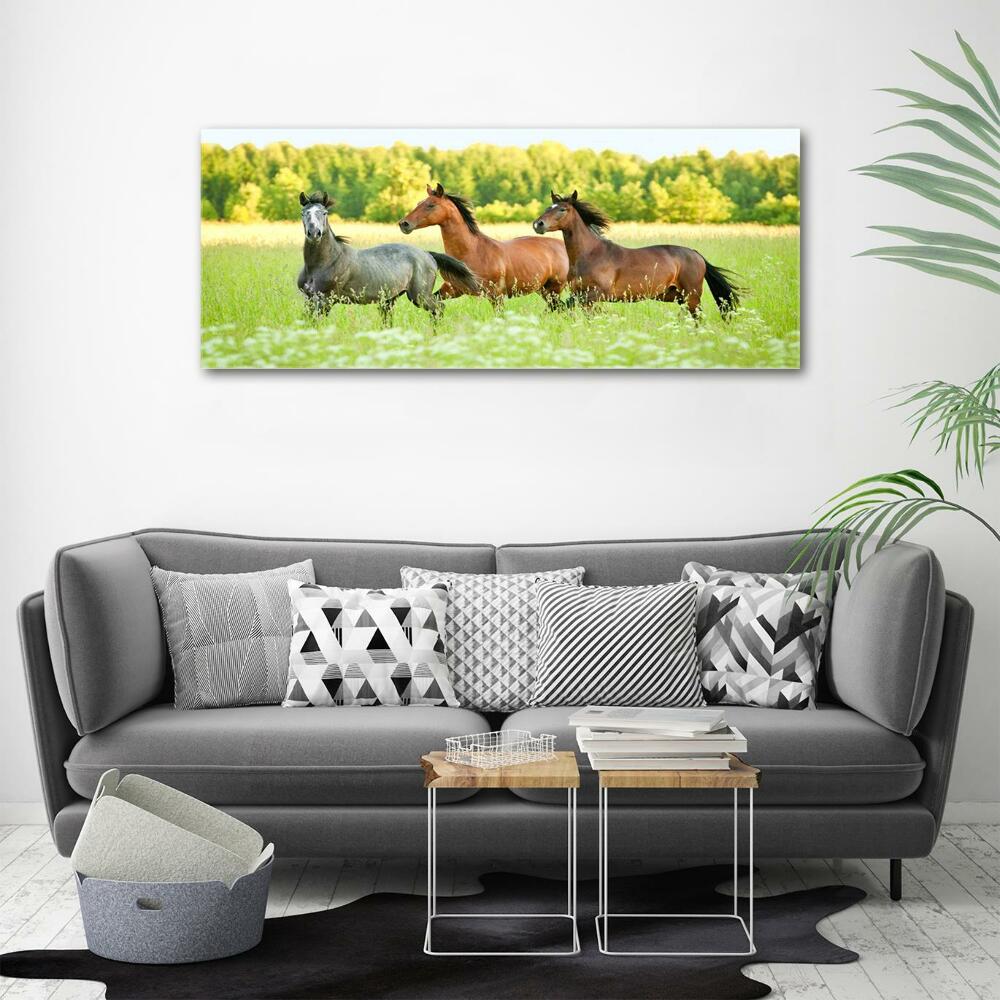 Glass picture wall art Horses at gallop