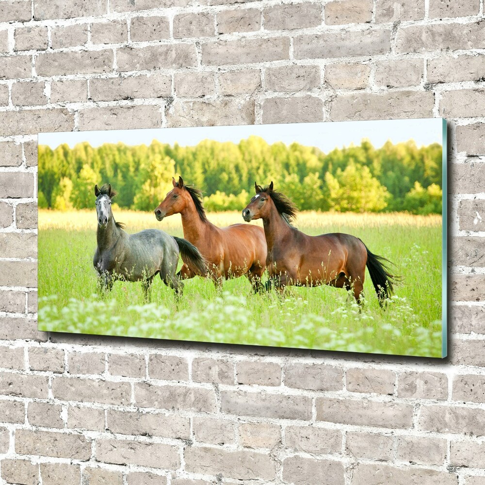 Glass picture wall art Horses at gallop