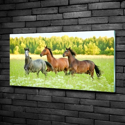 Glass picture wall art Horses at gallop