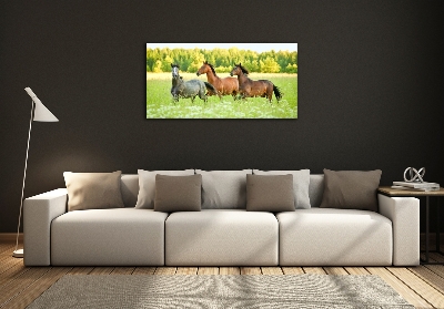 Glass picture wall art Horses at gallop