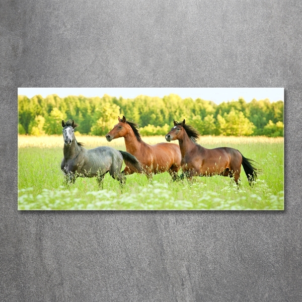 Glass picture wall art Horses at gallop