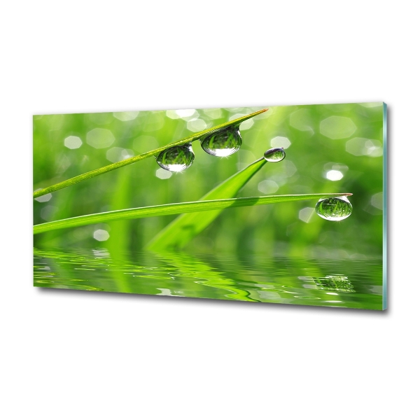 Glass wall art large Drops on the grass