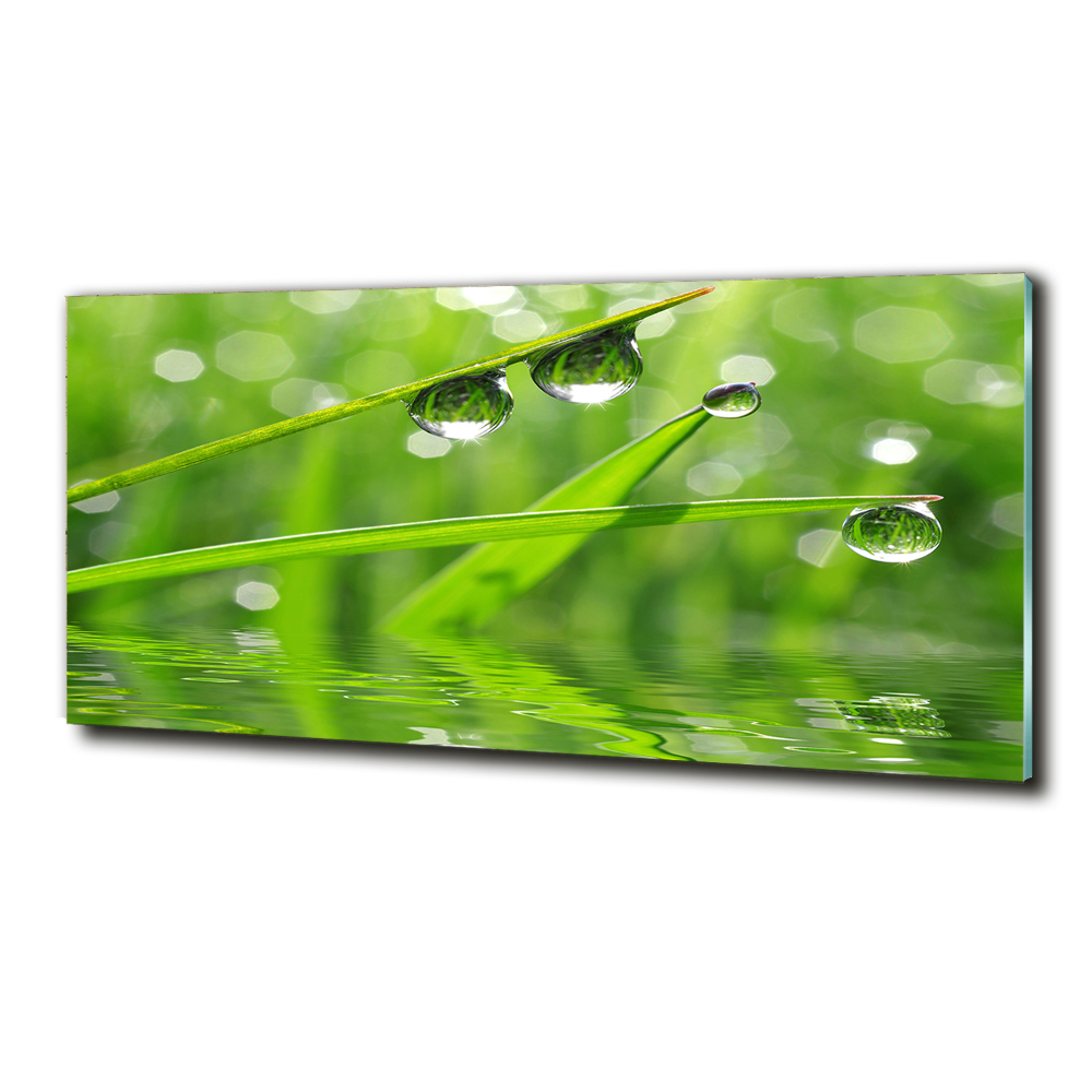 Glass wall art large Drops on the grass