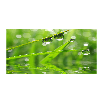 Glass wall art large Drops on the grass