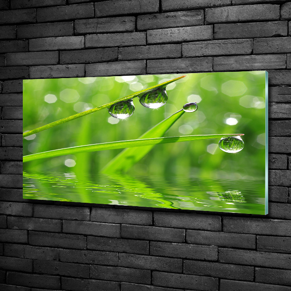 Glass wall art large Drops on the grass