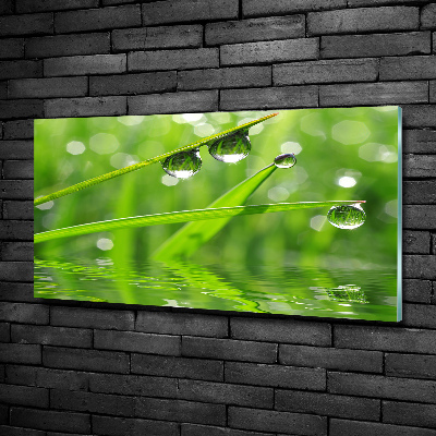 Glass wall art large Drops on the grass