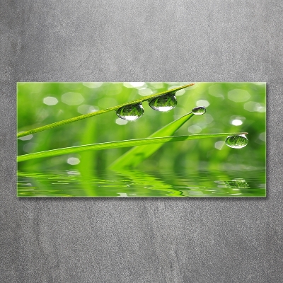 Glass wall art large Drops on the grass