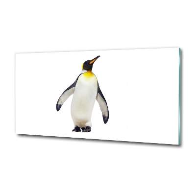 Printed glass wall art Penguin