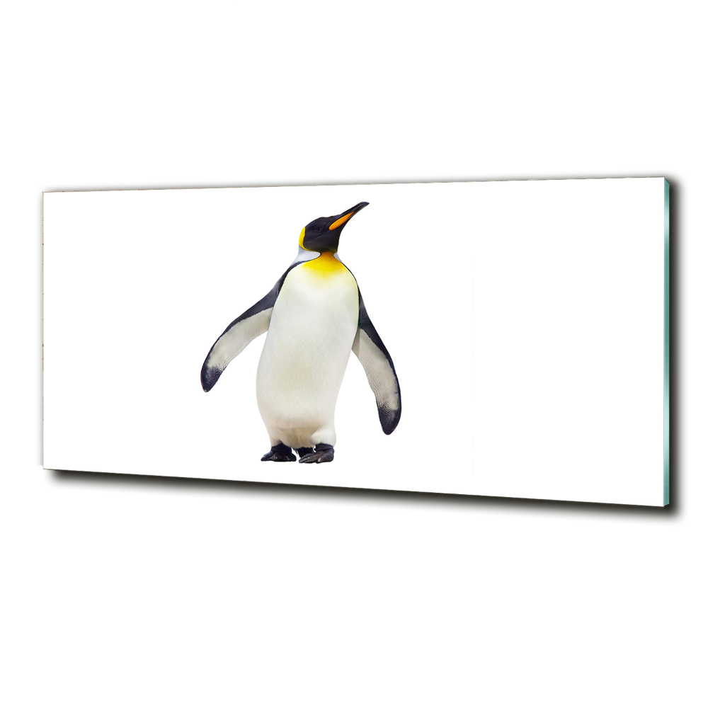 Printed glass wall art Penguin