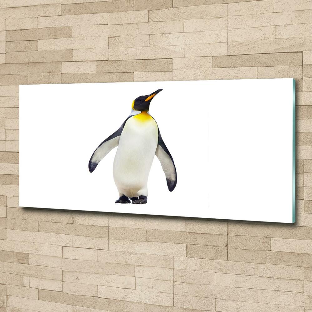 Printed glass wall art Penguin