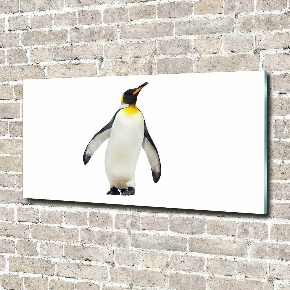 Printed glass wall art Penguin