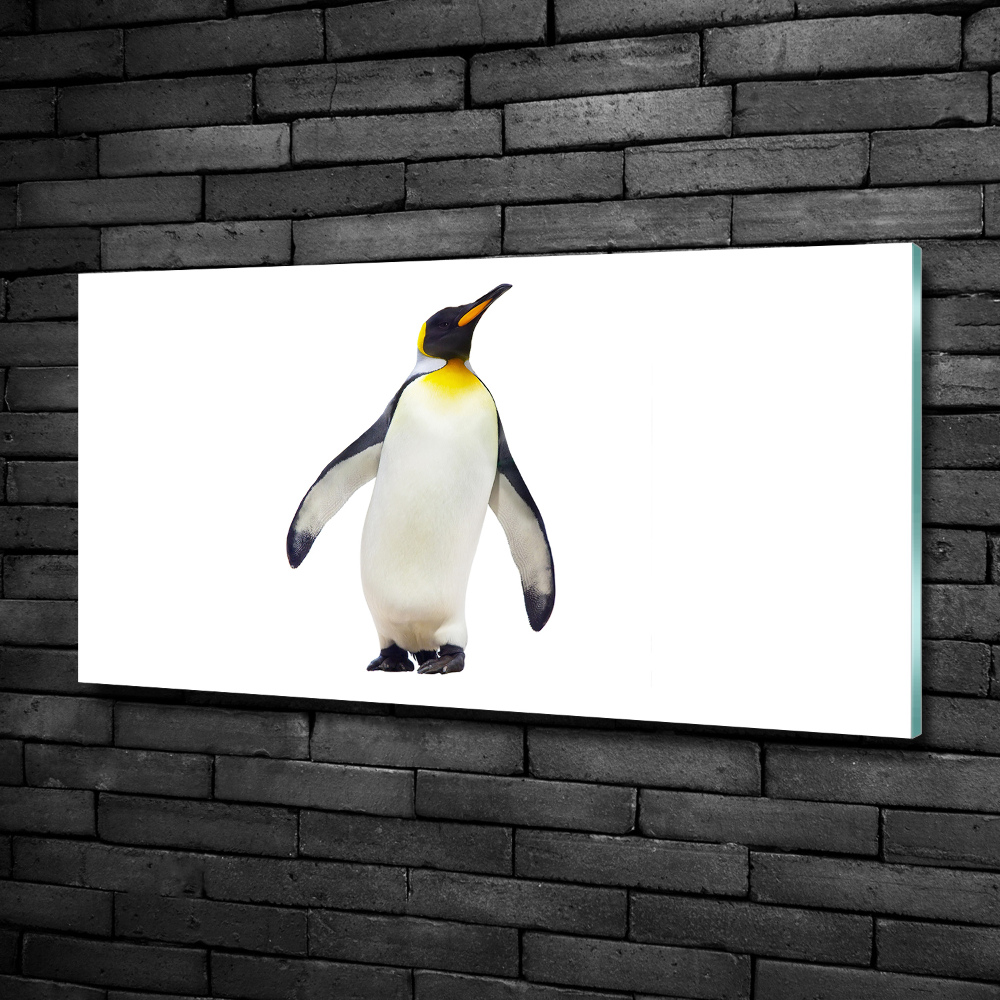 Printed glass wall art Penguin