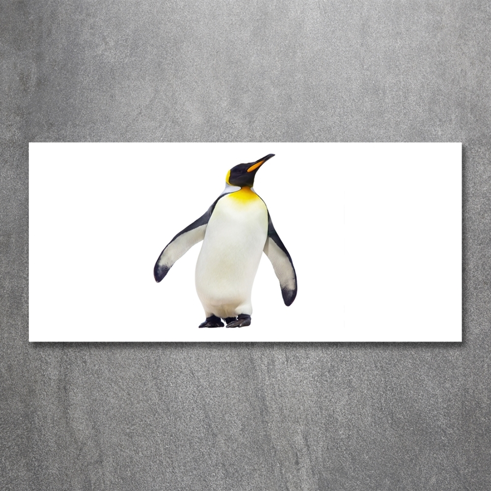 Printed glass wall art Penguin