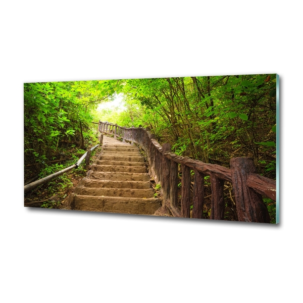 Wall art on glass Stairs in the forest