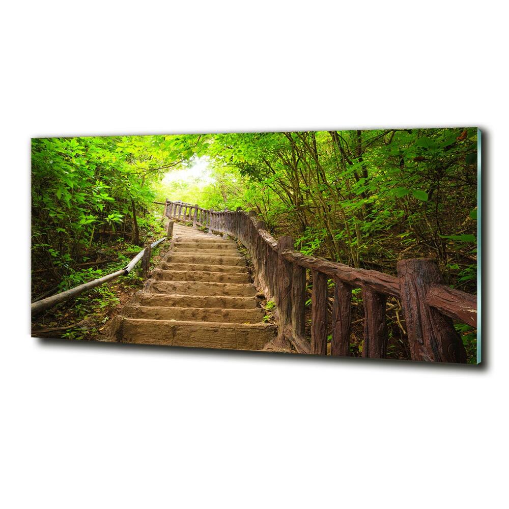 Wall art on glass Stairs in the forest