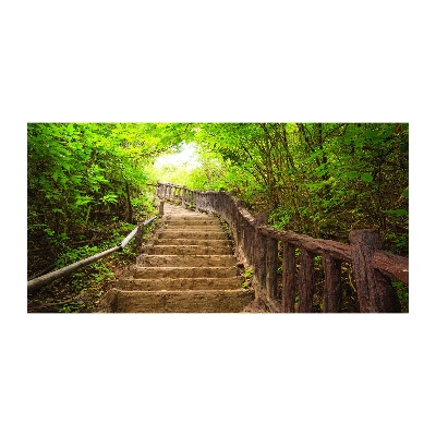 Wall art on glass Stairs in the forest